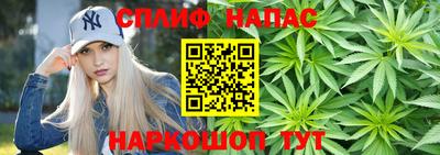ECSTASY Ярославль