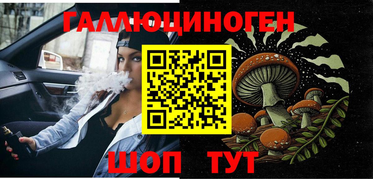 Псилоцибиновые грибы Psilocybe Тара