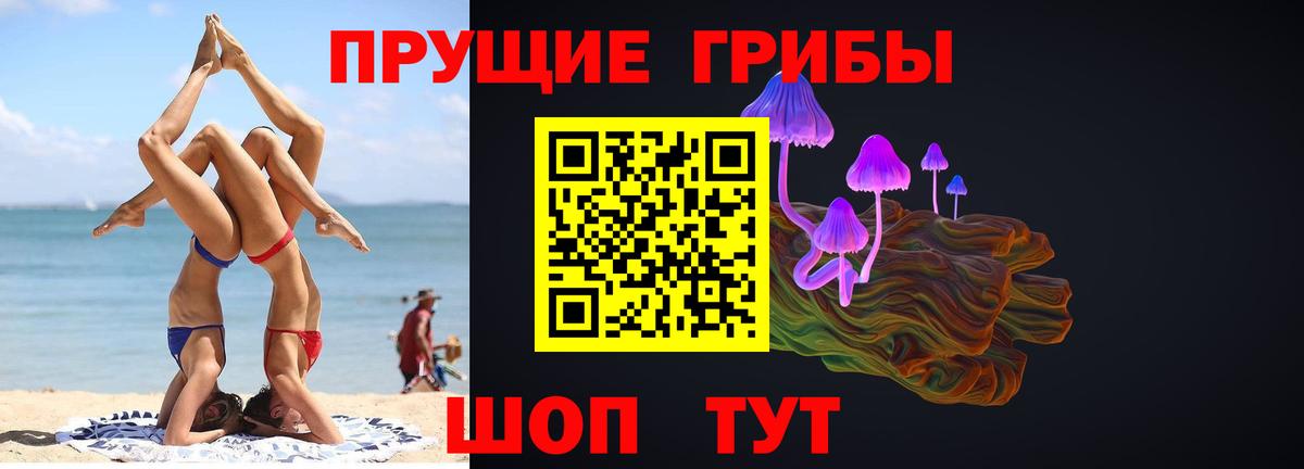 закладки  Галлюциногенные грибы Psilocybe  Вход с VPN  Галлюциногенные грибы GOLDEN TEACHER  Тара 